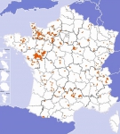 Communes nouvelles, carte.jpg