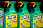 RoundUp de Monsanto.jpg