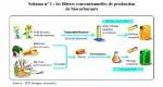 Filières des Bio-carburants.jpg