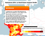 Naissances 2015 dans le Morbihan.png