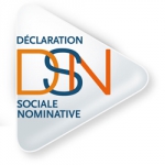 DSN, logo.jpg