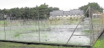 Tennis du Bois d'Amour à Quiberon.jpg