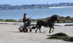 A cheval au Port d'Orange.jpg