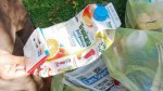 Déchets, la collecte.jpg